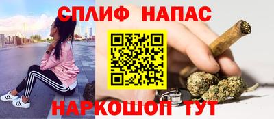 СК Будённовск