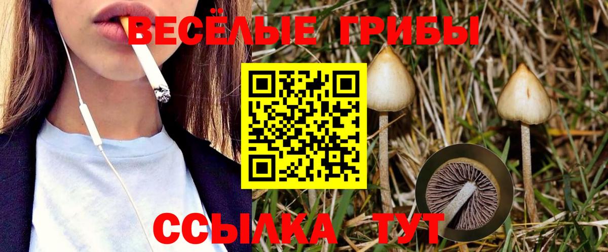 Псилоцибиновые грибы Cubensis  Вход с VPN  Галлюциногенные грибы MAGIC MUSHROOMS  Можайск 
